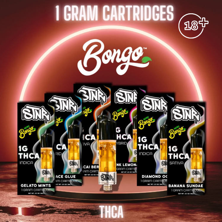 STNR - Mini Bongo 1 Gram THCA Cart Each